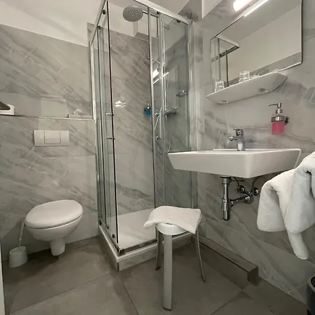 Отель Rosenheim 3*